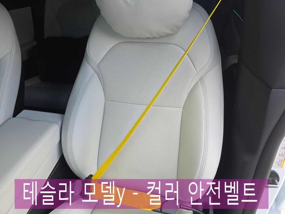 테슬라 모델y - 컬러 안전벨트 " 화사하고 청량한 실내 감성 만들기 "