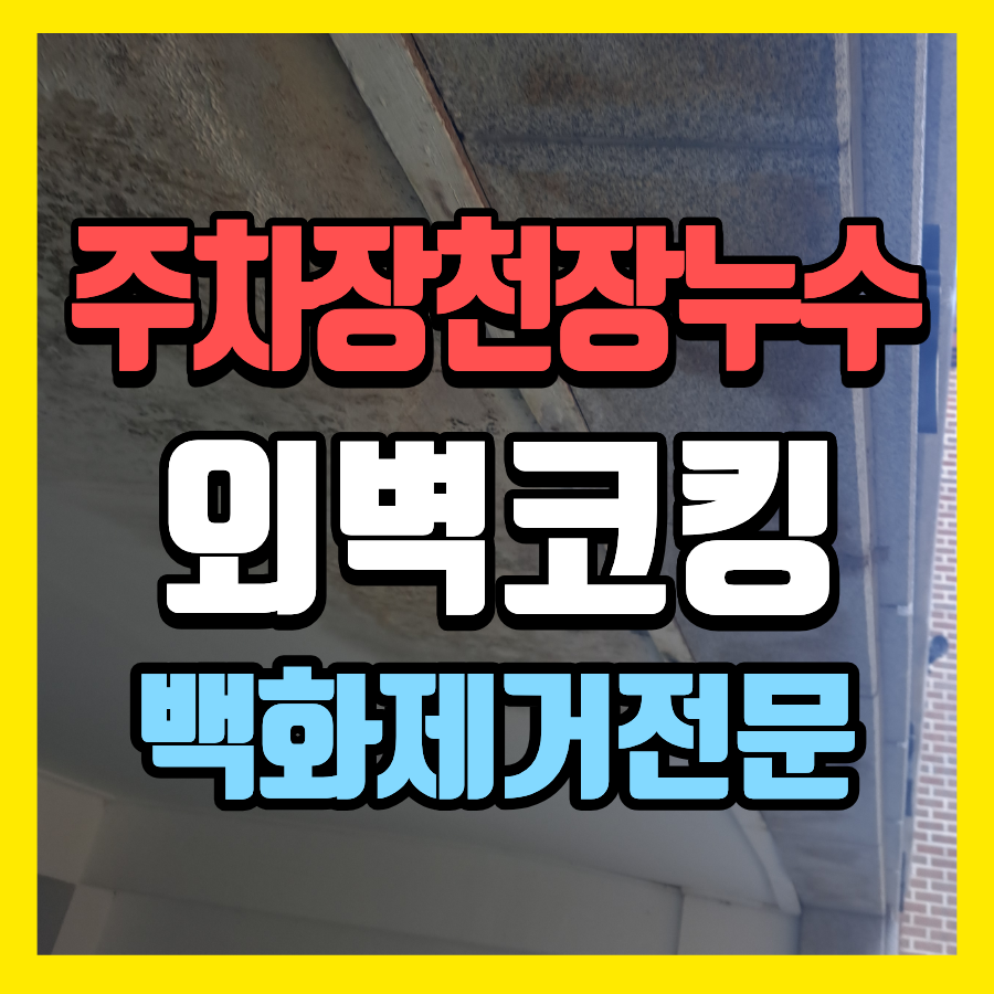 부천 외벽 코킹 빌라 주차장 천장 누수와 백화제거