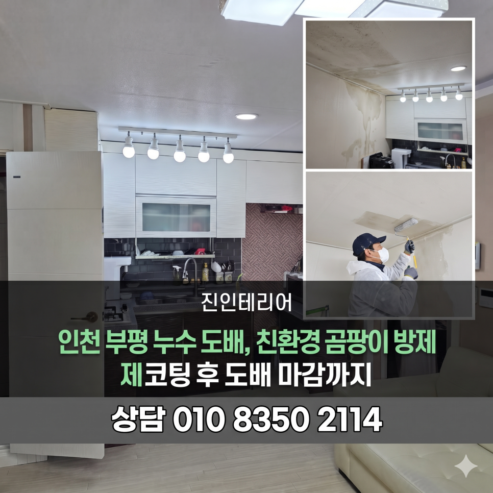 인천 부평 누수 도배, 친환경 곰팡이 방제 코팅 후 도배 마감까지