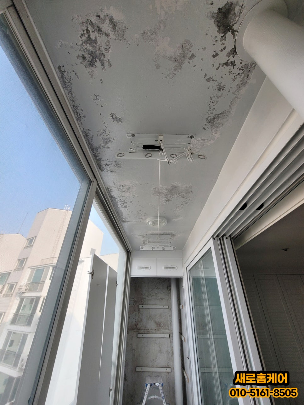 곰팡이 제거 사진
