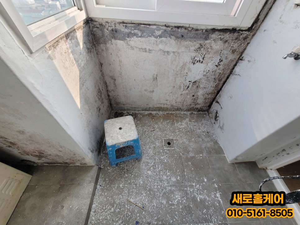 곰팡이 제거 사진