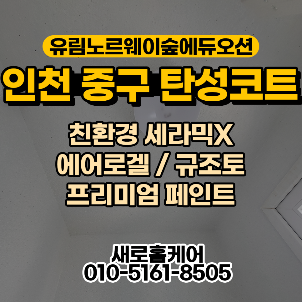 인천 신흥동의 숨겨진 탄성코트 매력은?