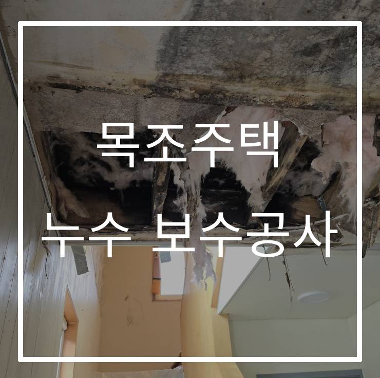 누수의 비밀, 목조주택 구조체의 부식 확인하기